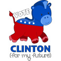 Vote Clinton (for my future) Democratic Donkey