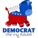 Vote Democrat (for my future)
