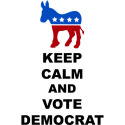 Keep Calm and Vote Democrat