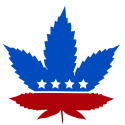 Political Pot Leaf