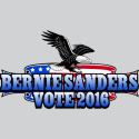 Bernie Sanders Vote 2016