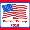 Donald Trump American Flag 2016