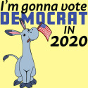 I'm Gonna Vote Democrat in 2020