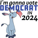 I'm Gonna Vote Democrat in 2024