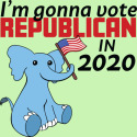 I'm Gonna Vote Republican in 2020