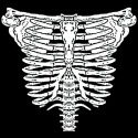 White Vintage Bones