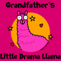 Grandfather's little Drama Llama