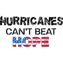 Hurricanes Cant Beat Hope - American flag