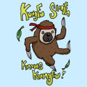 Kungfu Sloth