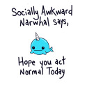 Awkward narwhal