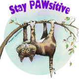 Stay Pawisitive- Cat Humor
